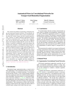 Anatomical Priors in Convolutional Networks for Unsupervised Biomedical
  Segmentation