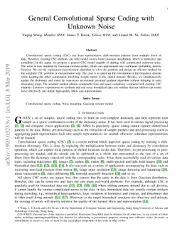General Convolutional Sparse Coding with Unknown Noise