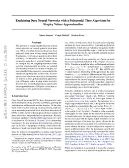Explaining Deep Neural Networks with a Polynomial Time Algorithm for
  Shapley Values Approximation