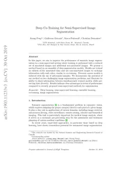 Deep Co-Training for Semi-Supervised Image Segmentation