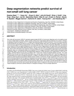 Deep segmentation networks predict survival of non-small cell lung
  cancer