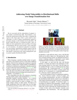 Addressing Model Vulnerability to Distributional Shifts over Image
  Transformation Sets