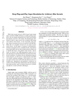 Deep Plug-and-Play Super-Resolution for Arbitrary Blur Kernels