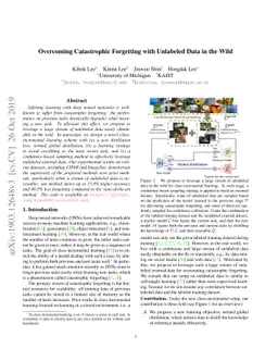 Overcoming Catastrophic Forgetting with Unlabeled Data in the Wild
