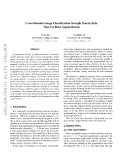 Cross-Domain Image Classification through Neural-Style Transfer Data
  Augmentation