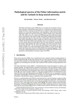 Pathological spectra of the Fisher information metric and its variants
  in deep neural networks