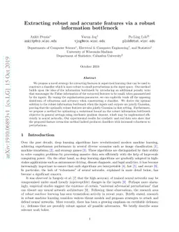 Extracting robust and accurate features via a robust information
  bottleneck