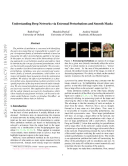 Understanding Deep Networks via Extremal Perturbations and Smooth Masks