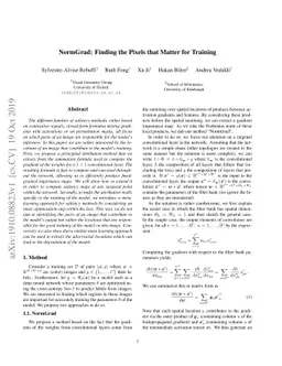 NormGrad: Finding the Pixels that Matter for Training