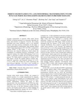 Trident Segmentation CNN: A Spatiotemporal Transformation CNN for
  Punctate White Matter Lesions Segmentation in Preterm Neonates