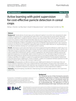 Active Learning with Point Supervision for Cost-Effective Panicle
  Detection in Cereal Crops