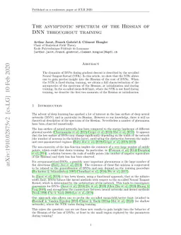 The asymptotic spectrum of the Hessian of DNN throughout training