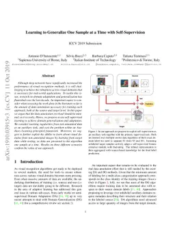Learning to Generalize One Sample at a Time with Self-Supervision