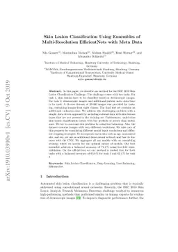 Skin Lesion Classification Using Ensembles of Multi-Resolution
  EfficientNets with Meta Data