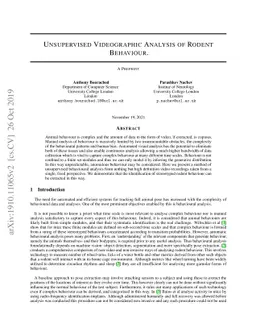 Unsupervised Videographic Analysis of Rodent Behaviour