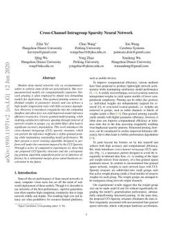 Cross-Channel Intragroup Sparsity Neural Network