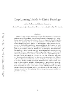 Deep Learning Models for Digital Pathology
