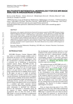 Multivariate mathematical morphology for DCE-MRI image analysis in
  angiogenesis studies