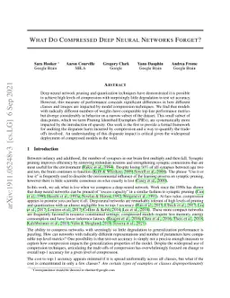 What Do Compressed Deep Neural Networks Forget?