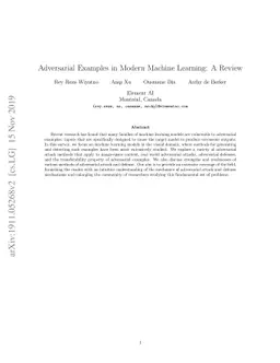 Adversarial Examples in Modern Machine Learning: A Review