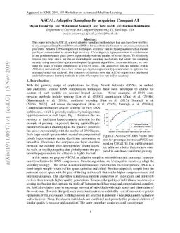 ASCAI: Adaptive Sampling for acquiring Compact AI