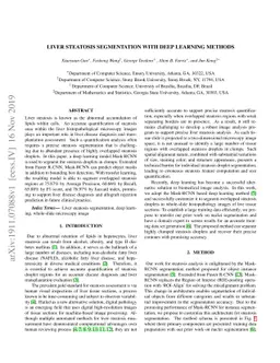 Liver Steatosis Segmentation with Deep Learning Methods