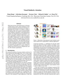Visual Similarity Attention