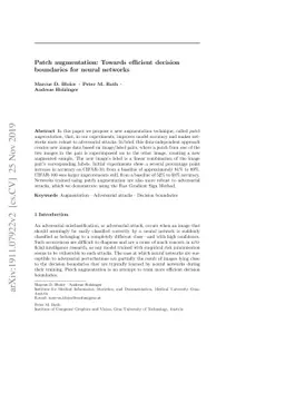 Patch augmentation: Towards efficient decision boundaries for neural
  networks