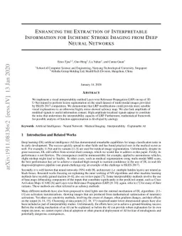 Enhancing the Extraction of Interpretable Information for Ischemic
  Stroke Imaging from Deep Neural Networks