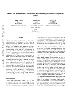 Mimic The Raw Domain: Accelerating Action Recognition in the Compressed
  Domain