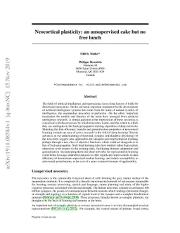 Neocortical plasticity: an unsupervised cake but no free lunch