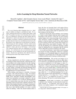 Active Learning for Deep Detection Neural Networks