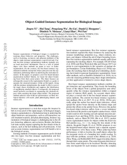 Object-Guided Instance Segmentation for Biological Images