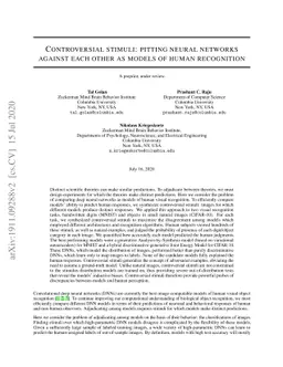 Controversial stimuli: pitting neural networks against each other as
  models of human recognition