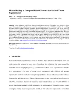 HybridNetSeg: A Compact Hybrid Network for Retinal Vessel Segmentation