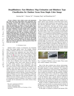 DeepBlindness: Fast Blindness Map Estimation and Blindness Type
  Classification for Outdoor Scene from Single Color Image