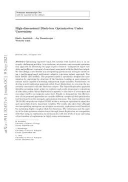 High-dimensional Black-box Optimization Under Uncertainty