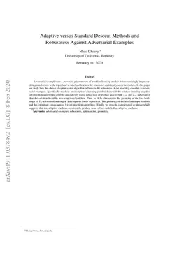 Adaptive versus Standard Descent Methods and Robustness Against
  Adversarial Examples