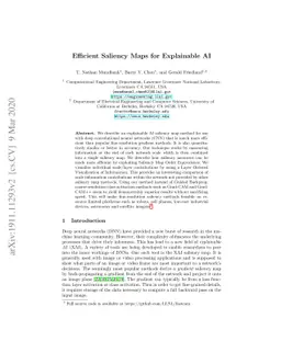 Efficient Saliency Maps for Explainable AI