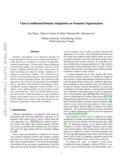 Class-Conditional Domain Adaptation on Semantic Segmentation