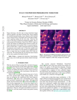 Fully Unsupervised Probabilistic Noise2Void