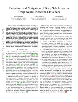 Detection and Mitigation of Rare Subclasses in Deep Neural Network
  Classifiers