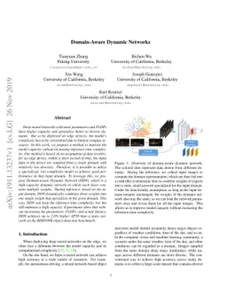 Domain-Aware Dynamic Networks