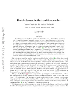 Double descent in the condition number