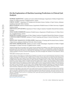 On the Explanation of Machine Learning Predictions in Clinical Gait
  Analysis