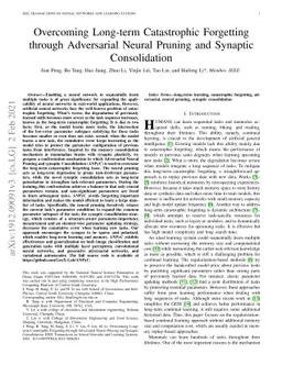 Overcoming Long-term Catastrophic Forgetting through Adversarial Neural
  Pruning and Synaptic Consolidation
