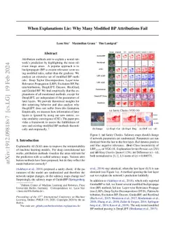 When Explanations Lie: Why Many Modified BP Attributions Fail