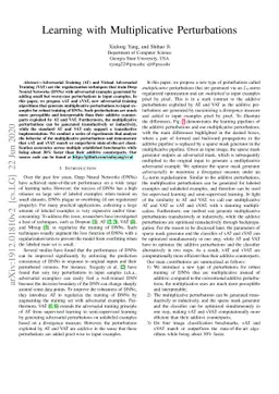 Learning with Multiplicative Perturbations