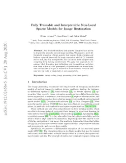 Fully Trainable and Interpretable Non-Local Sparse Models for Image
  Restoration