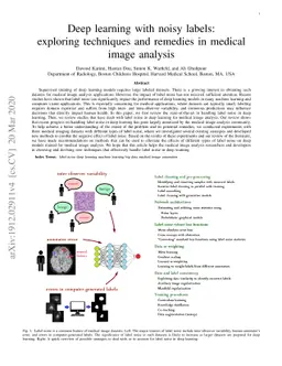 Deep learning with noisy labels: exploring techniques and remedies in
  medical image analysis